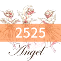 angel-number2525