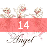 angel-number14