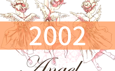 angel-number2002