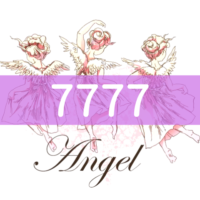 angel-number7777