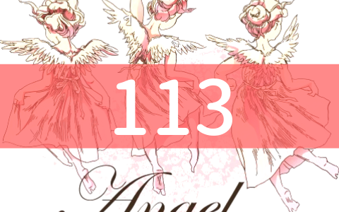 angel-number113