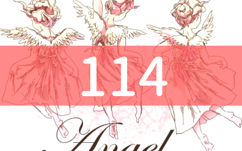 angel-number114
