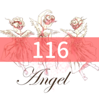 angel-number116