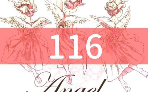 angel-number116